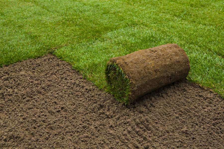 landscaping-services-in-banbury-new-lawn